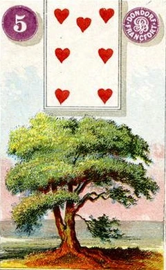Carta 5: Árvore do baralho histórico Dondorf