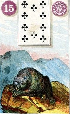 Carta 15: Urso do baralho histórico Dondorf