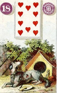 Carta 18: Cão do baralho histórico Dondorf